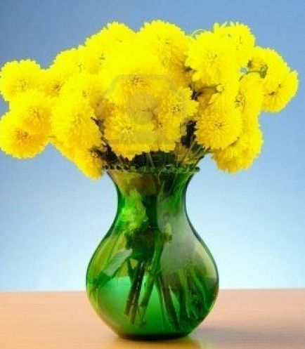 Как да запазим хризантема във ваза експертни съвети
