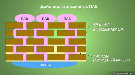 Как да изберем добър umyvalku