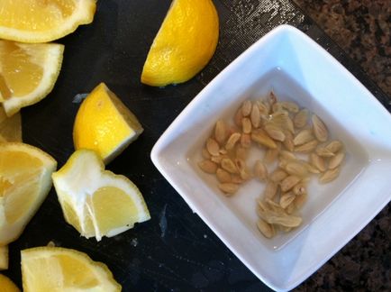 Как да расте един лимон от костите у дома стъпка по стъпка ръководство