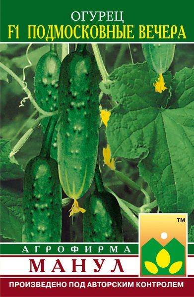 Как да растат краставици в избора на парникови разнообразие през зимата, семена за посев, пресаждане, грижи