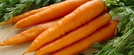 Как да расте добра морков всички етапи на култивиране