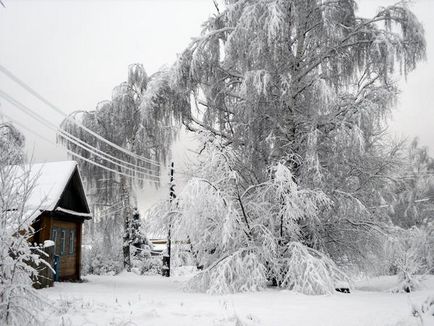 Как да оцелее без електричество в покритата със сняг село