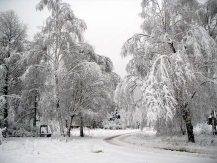 Как да оцелее без електричество в покритата със сняг село