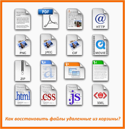 Как да се възстанови изтрити файлове от водача на кошчето (кошници) Как да възстановите файлове изпразнени от ръководството на Кошчето