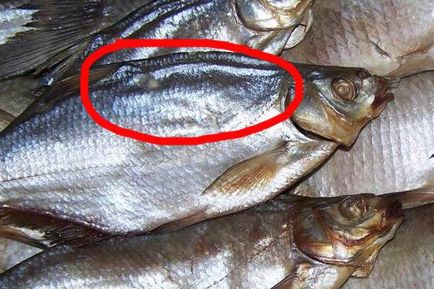 Как да се отмести и суха риба платика, червеноперка и други улов