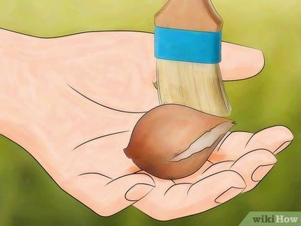 Как да съхранявате луковици на лалета