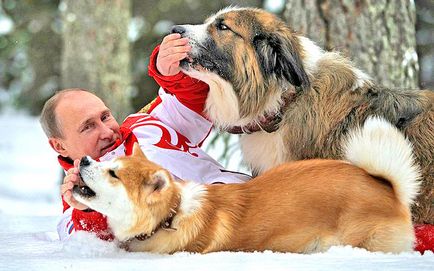 Какво е името на кучето на Путин какво порода куче на Путин
