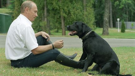 Какво е името на кучето на Путин какво порода куче на Путин