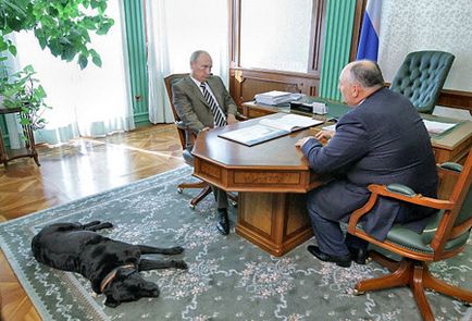 Какво е името на кучето на Путин какво порода куче на Путин