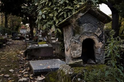 Гробище за кучета във Франция