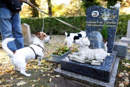 Гробище за кучета във Франция