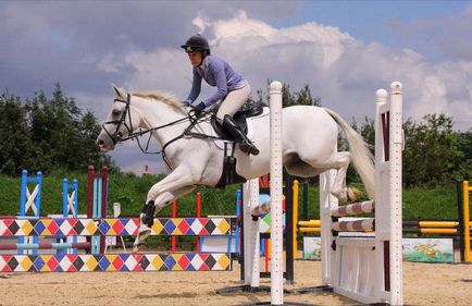 Скок - престижен и стилен външен вид на конния спорт