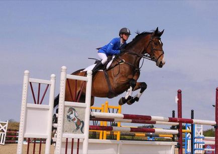 Скок - престижен и стилен външен вид на конния спорт