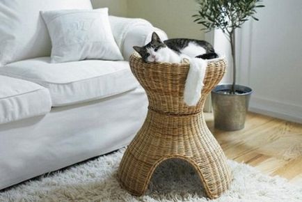 Котка Къща за аристократични котки