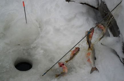 Шал за зимен риболов 1