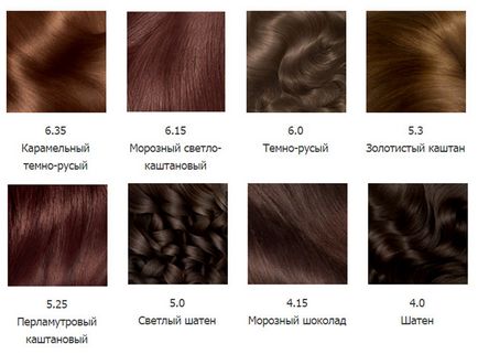 Боя за коса Garnier (Garnier) - палитра от цветове (снимка)