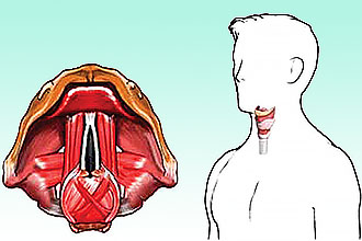Лечение на гласните струни в дома - как да се възстанови