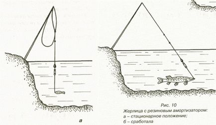 Пайк риболов на zherlitsy колекция зима и монтаж предавка, тактика и тайни на голям улов