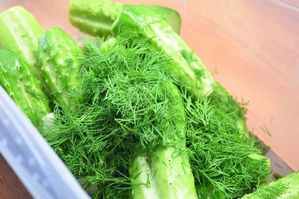 Солени краставици суха посланик - модерна рецепта дома за готвене със снимка