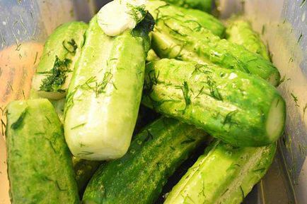 Солени краставици суха посланик - модерна рецепта дома за готвене със снимка