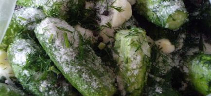 Солени краставички в пакет - бързи рецепти с чесън и копър