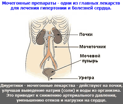 Диуретици (диуретици) хипертония