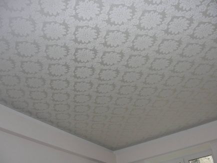 Окачен таван в банята на плюсовете и минусите на покритието (40 снимки)