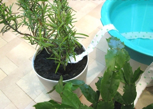 Организация за автоматично поливане стайни растения със собствените си ръце видове системи, техните функции,