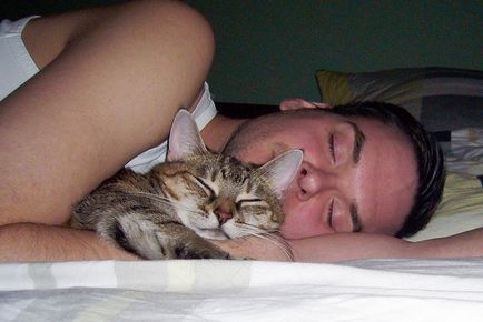 Защо котките спят на човек 2