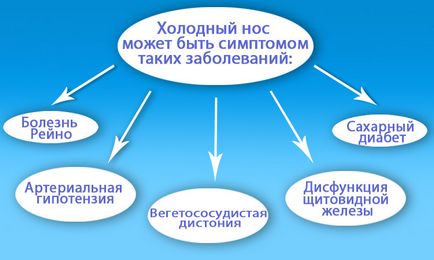 Защо носа студен при хората - причините, поради които той е студено