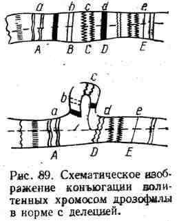 Причините за мутации