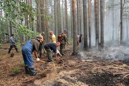 Горски пожари видове и класификация