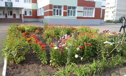 пейзаж проект дизайн на цветна леха в детската градина пейзаж проект на цветна леха в детска градина