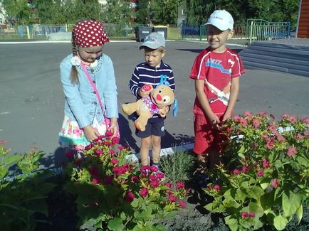 пейзаж проект на цветна леха в детска градина 