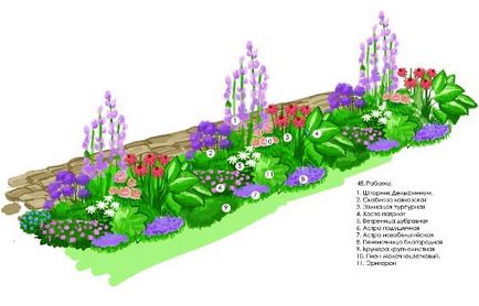 Rabatki собствените си ръце рисунки, снимки, избор на растения, съвети за създаване и поддържане