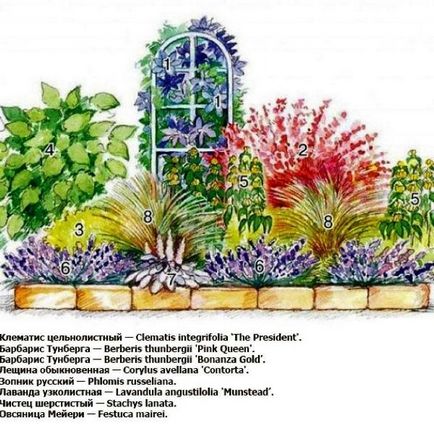 Rabatki собствените си ръце рисунки, снимки, избор на растения, съвети за създаване и поддържане
