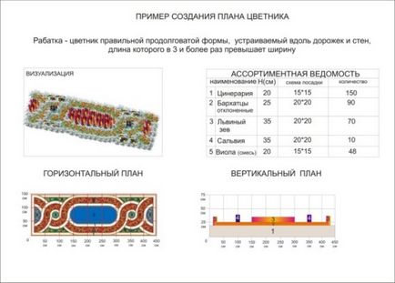 Rabatki - жива украса, най-добре декорация за вашата градина! Фото, видео, верига