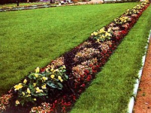 Rabatki - жива украса, най-добре декорация за вашата градина! Фото, видео, верига