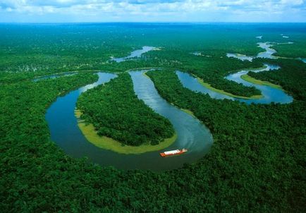 Област Амазония всичко на Амазонка от fountravel