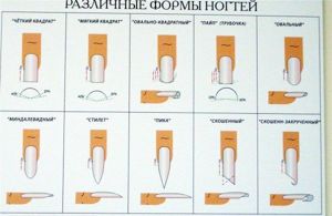 Данните за нокти (ноктите Naroscheny) Данните за нокти