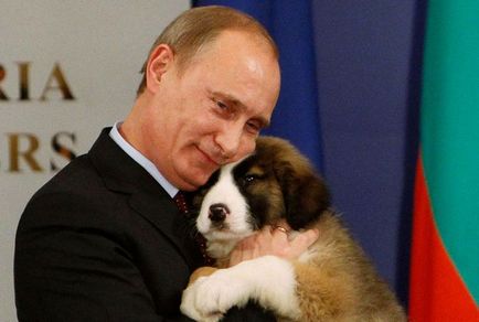 куче на Путин какво порода името, снимката, псевдоним