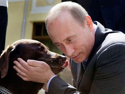 Кучета председатели (президенти) президенти Кучета