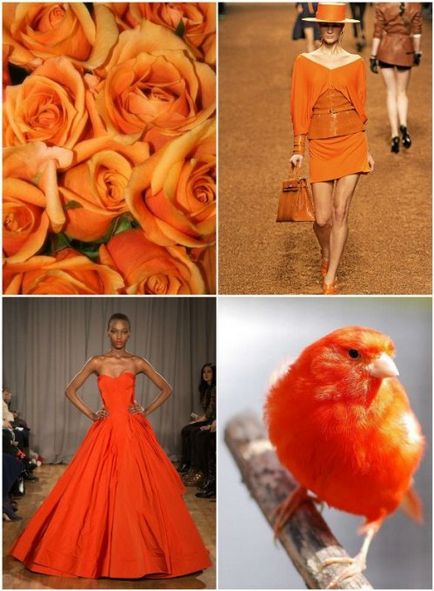 Комбинацията от оранжеви дрехи - съвети за комбинация от портокал с други цветове