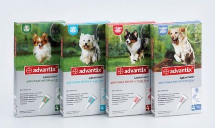 Remedy за кърлежи за кучета хапчета, капки или osheynki