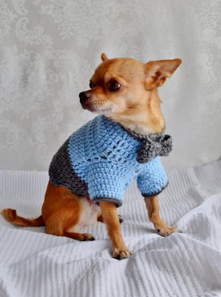 Пуловер за куче със собствените си ръце