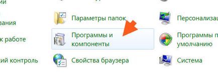 Ticno какво тази програма е и дали е необходимо