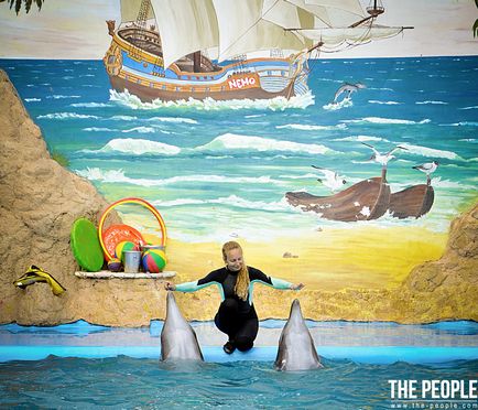 Треньор в делфини Лена Komogorova относно използването на делфини - хората