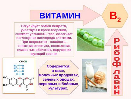 Витамин В2 (рибофлавин) - ефекти върху тялото, ползата и вредата, описание