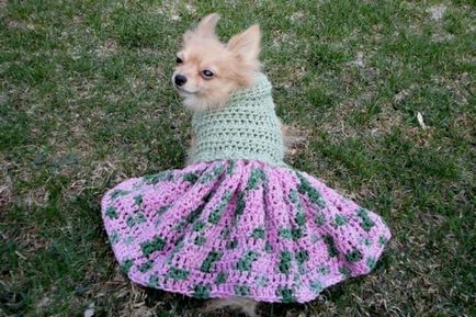 Плетиво за кучета и как да плета пуловер, яке или преправи стар