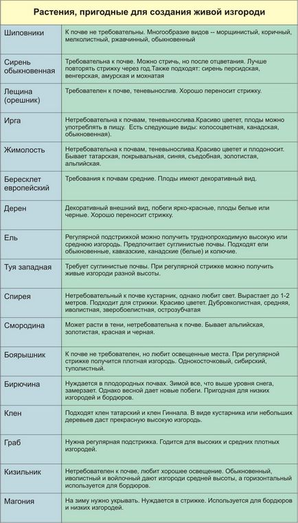 Хеджес в страната със собствените си ръце какви растения - за преглед, инструкции стъпка по стъпка!